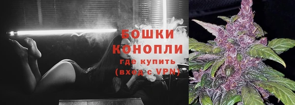 хмурый Нефтекумск
