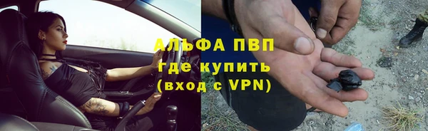 стаф Абинск