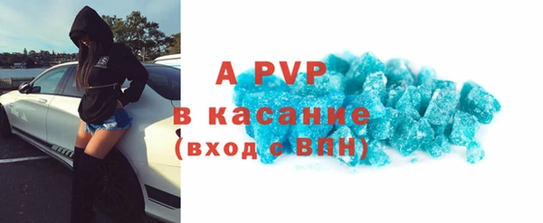 стаф Абинск