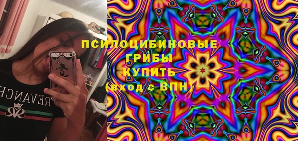 стаф Абинск