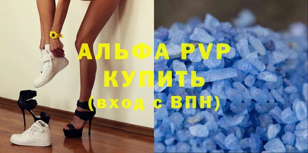 стаф Абинск